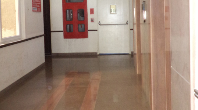 Desert Brown Quatzite Project